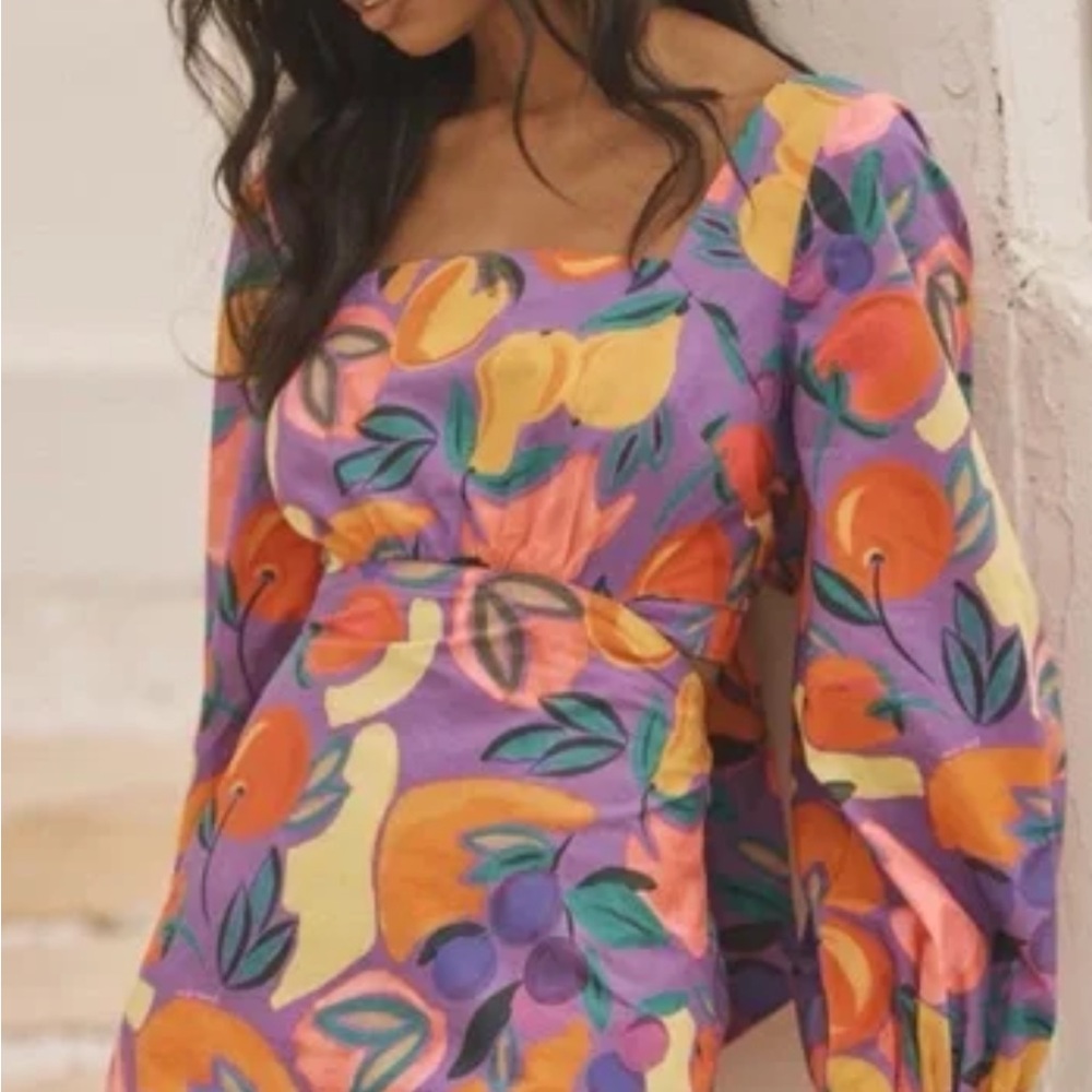 Farm Rio Medium New with tags Vibrant Fruit Print Dress